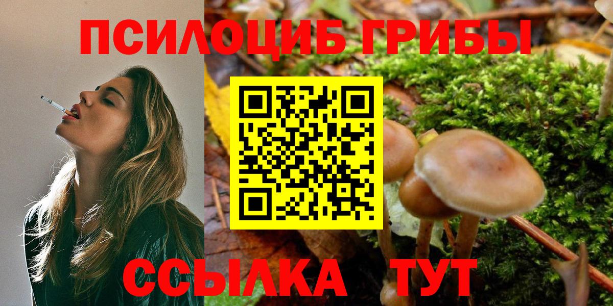 Галлюциногенные грибы мицелий  Вход с VPN  Нижнекамск 