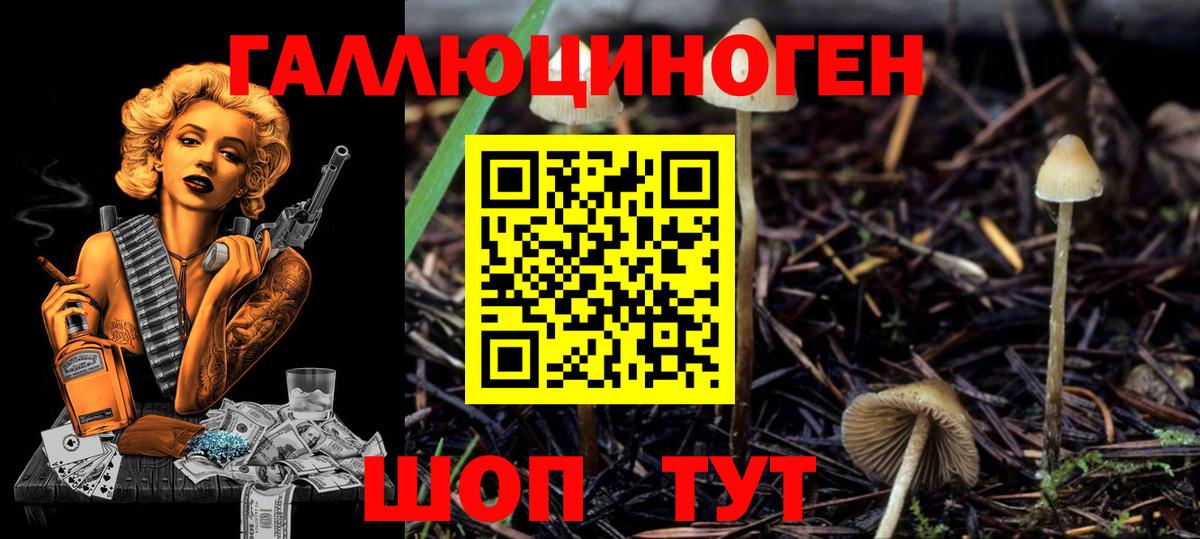 Псилоцибиновые грибы прущие грибы Нижнекамск